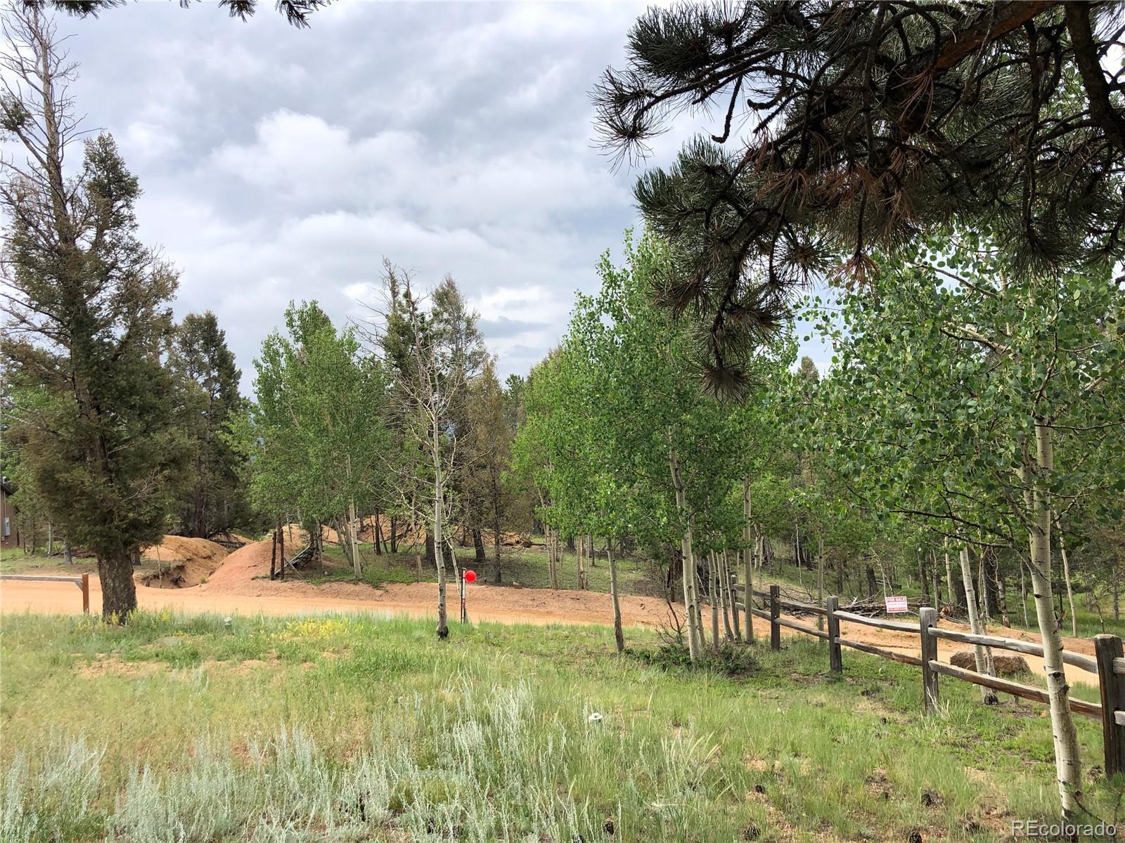 MLS Image #24 for 169  daisy street,woodland park, Colorado