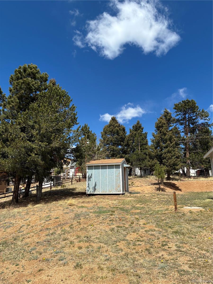 MLS Image #27 for 169  daisy street,woodland park, Colorado