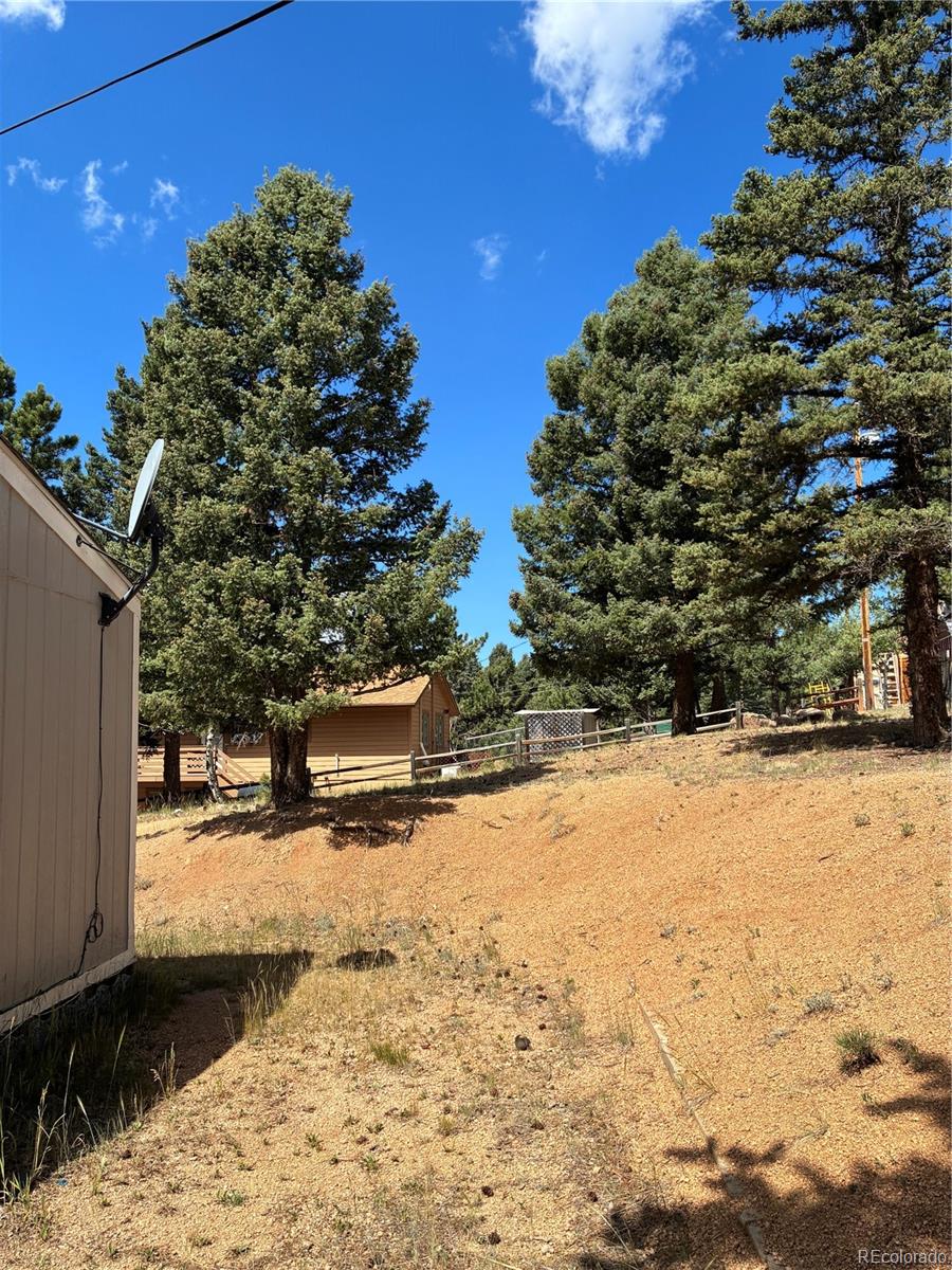 MLS Image #29 for 169  daisy street,woodland park, Colorado