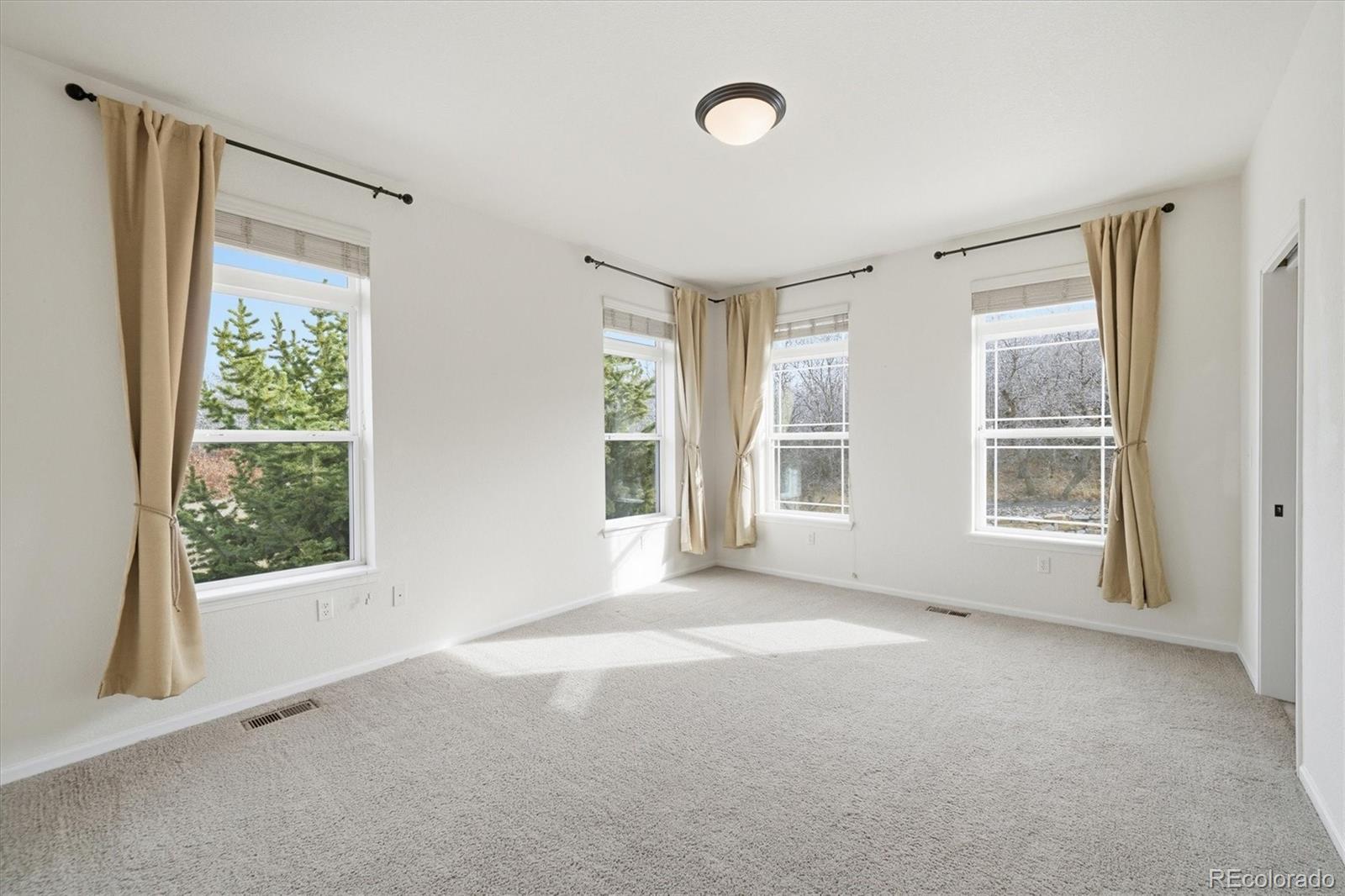 MLS Image #19 for 1535  dewfrost place,castle rock, Colorado