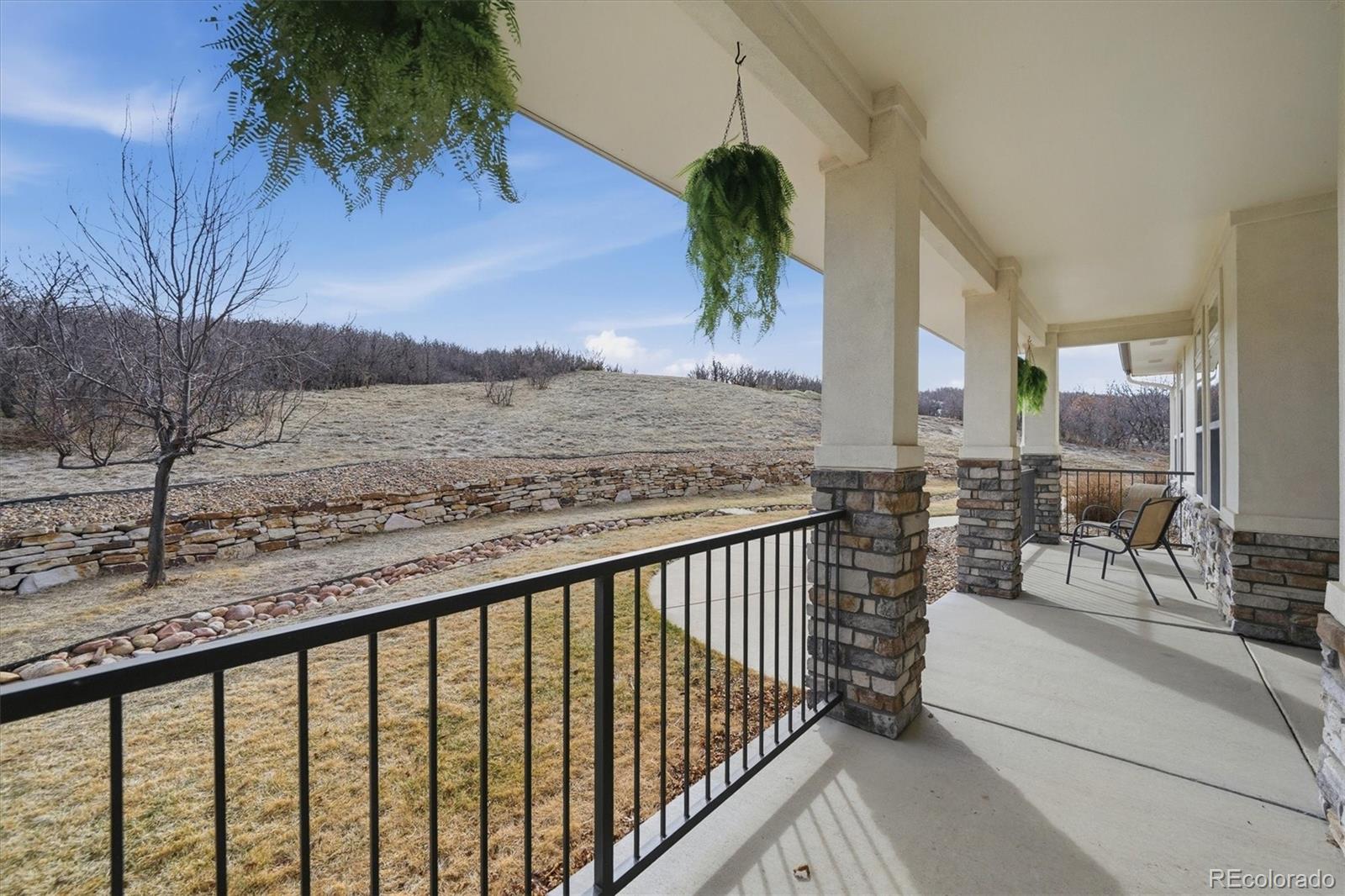 MLS Image #3 for 1535  dewfrost place,castle rock, Colorado