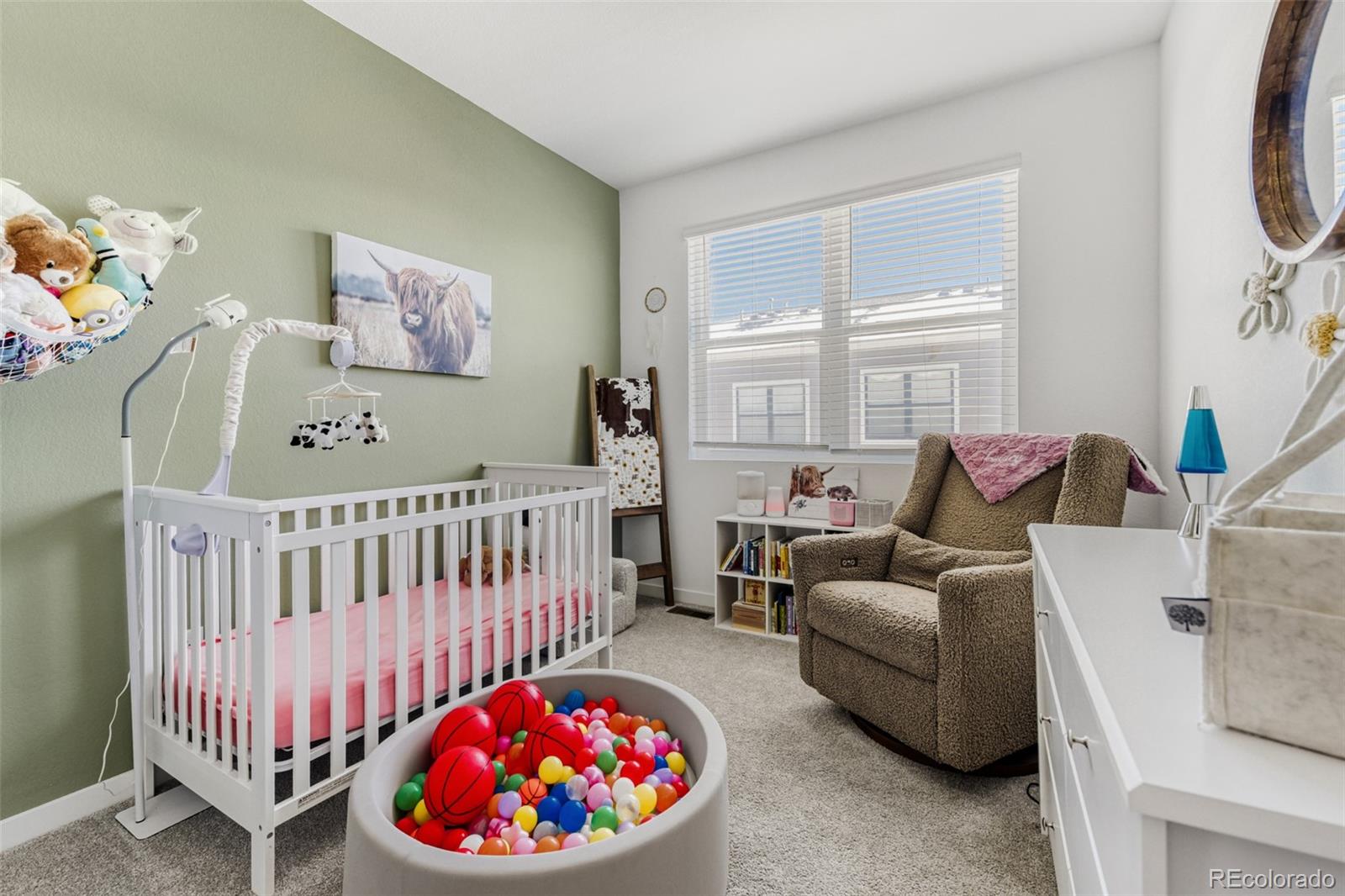 MLS Image #10 for 7934  slate river street,littleton, Colorado