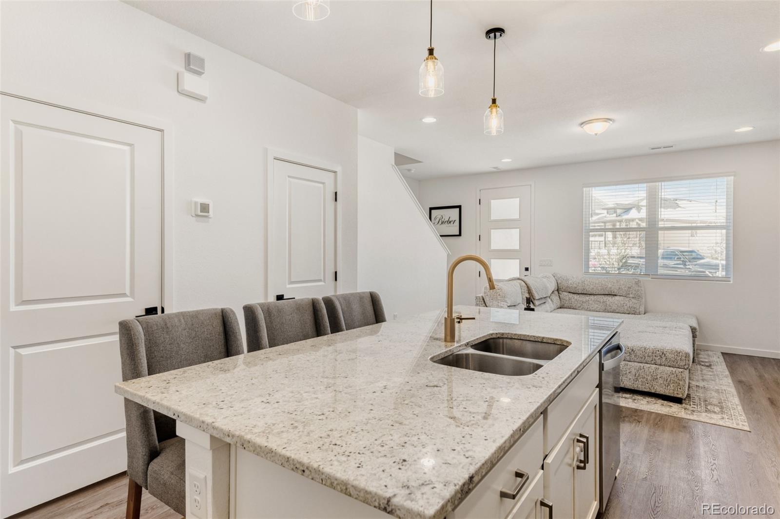 MLS Image #5 for 7934  slate river street,littleton, Colorado