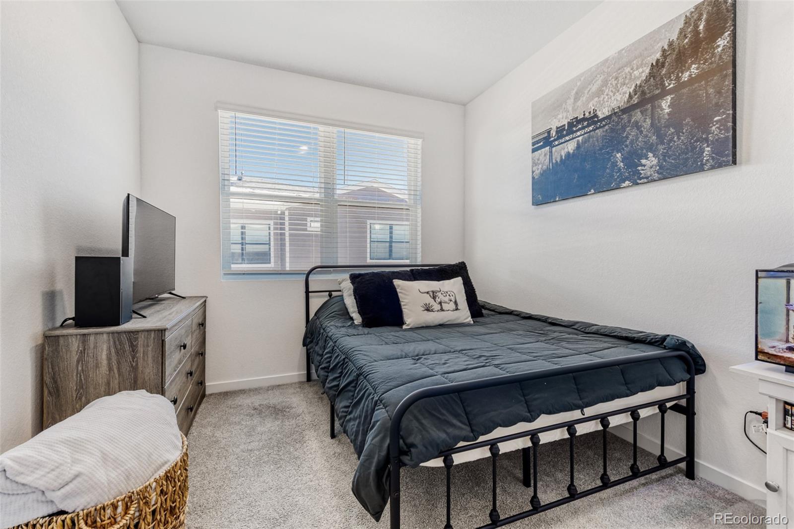 MLS Image #9 for 7934  slate river street,littleton, Colorado