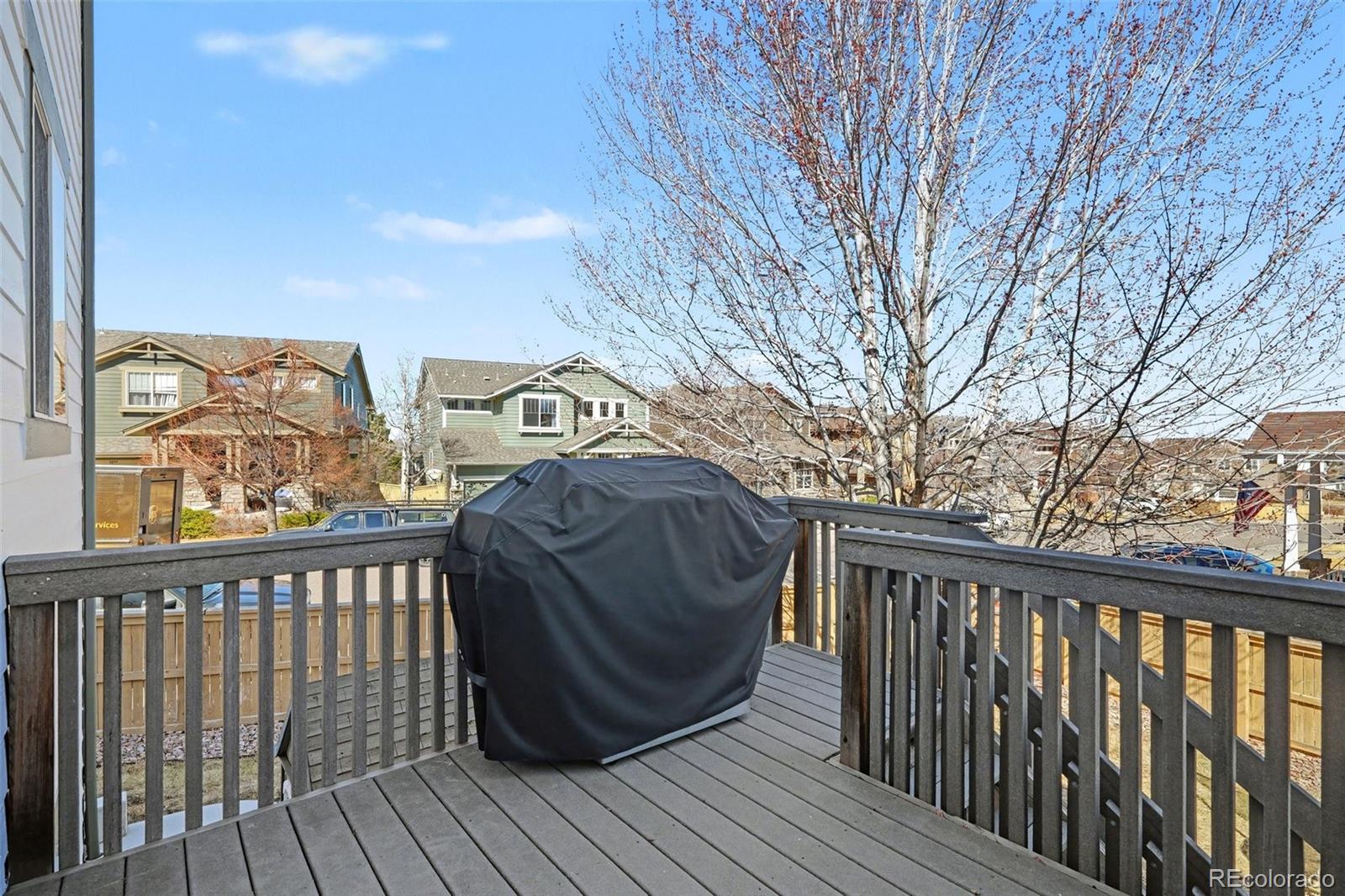 MLS Image #37 for 3057  braeburn place,highlands ranch, Colorado