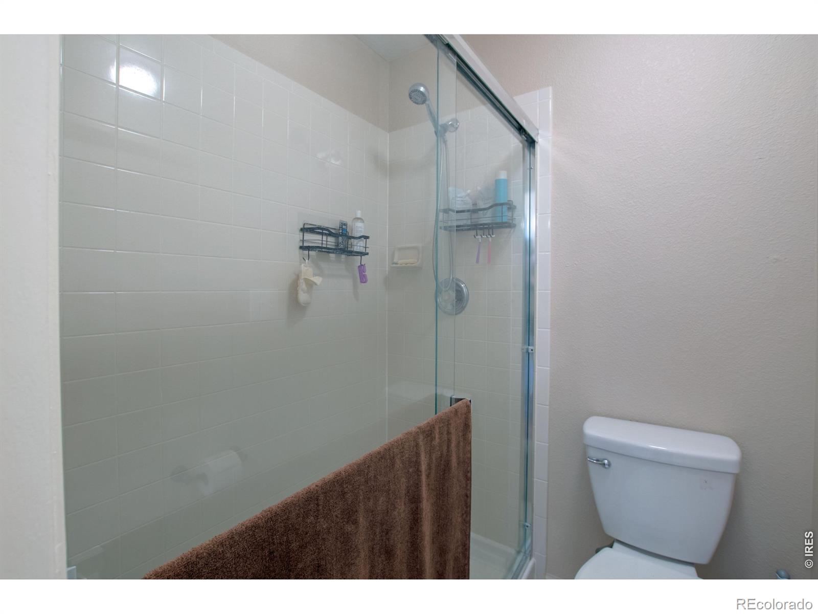 MLS Image #16 for 8594  citation drive,wellington, Colorado