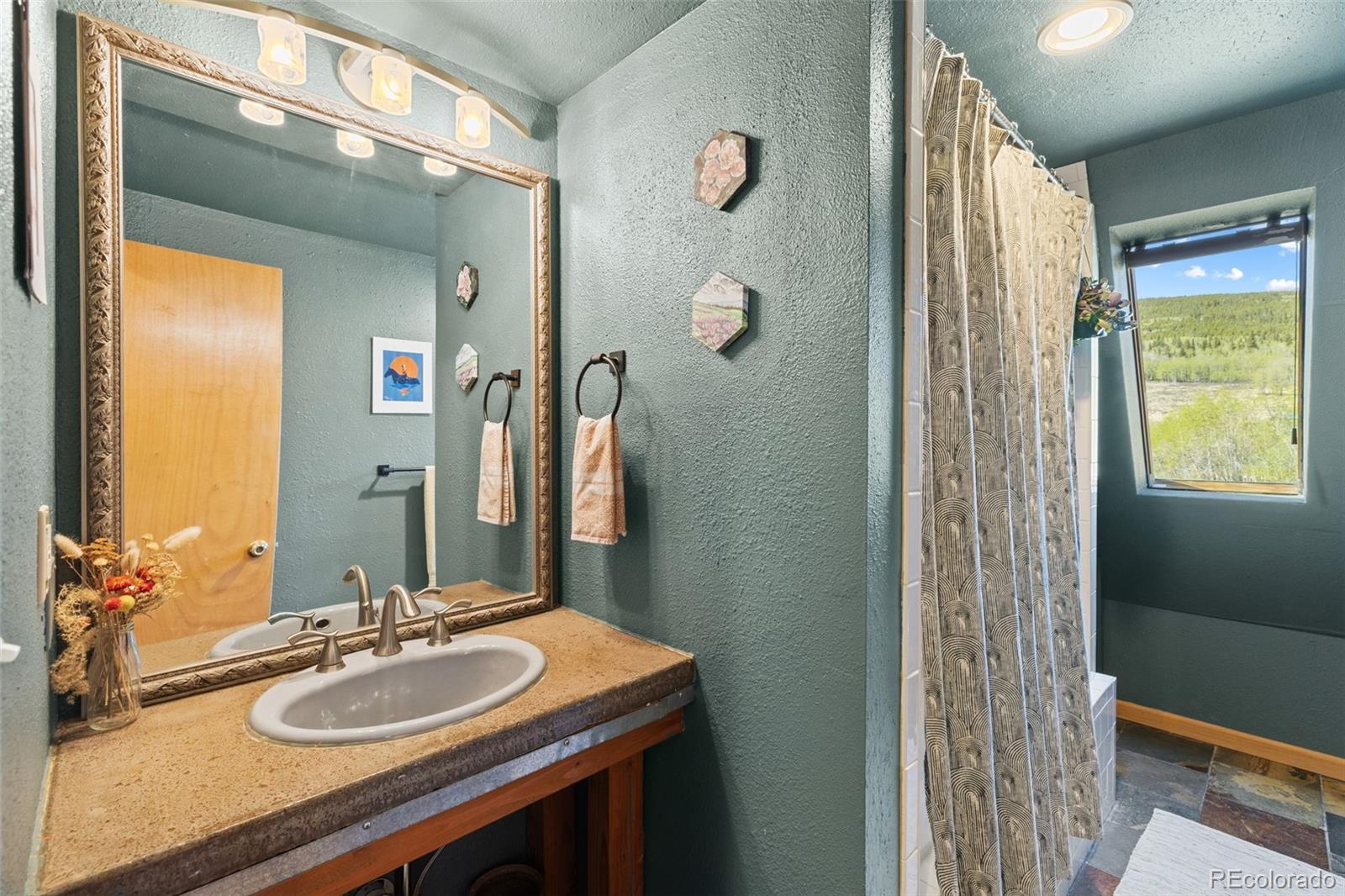 MLS Image #16 for 257  round hill road,fairplay, Colorado