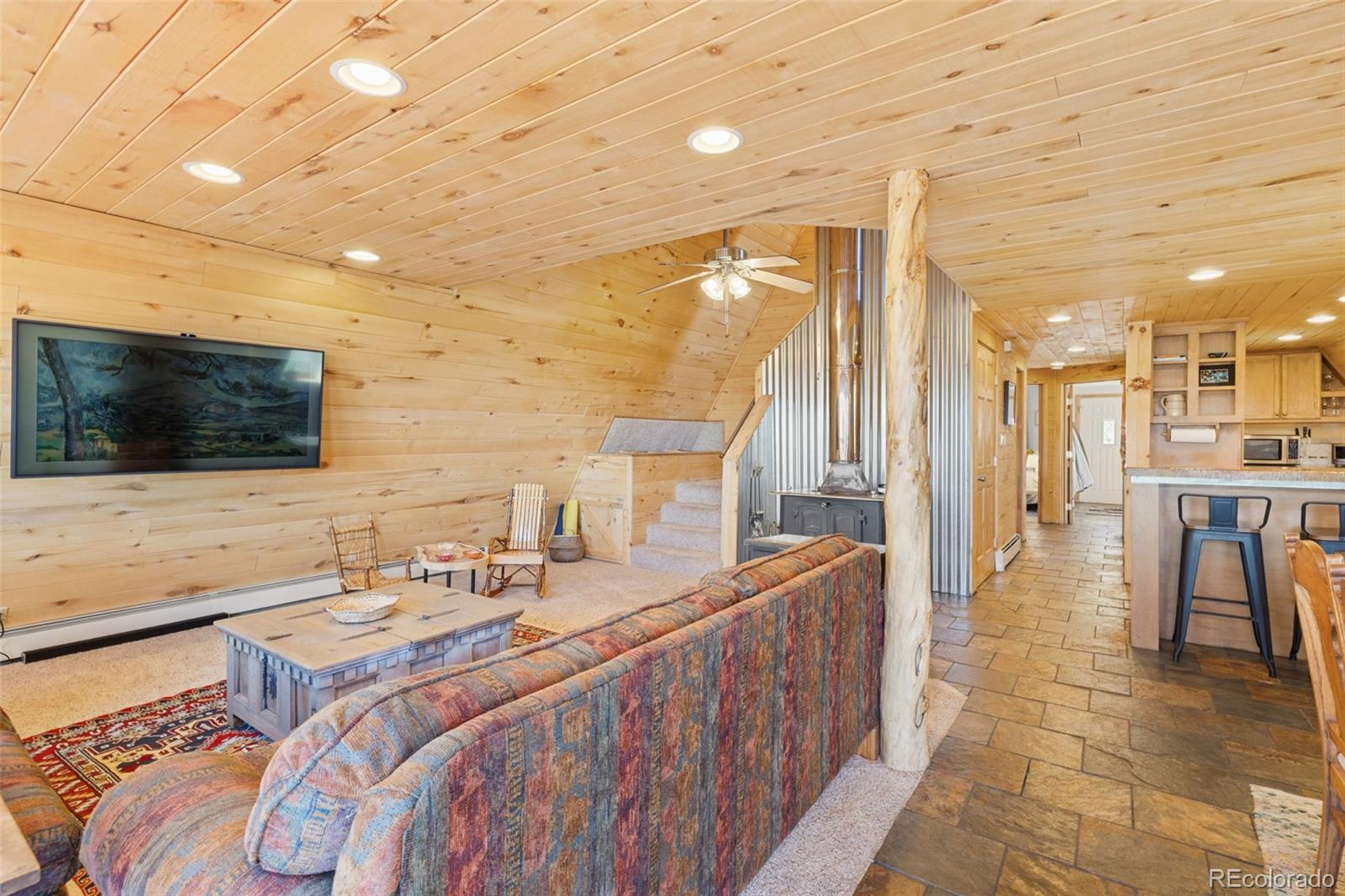 MLS Image #3 for 257  round hill road,fairplay, Colorado