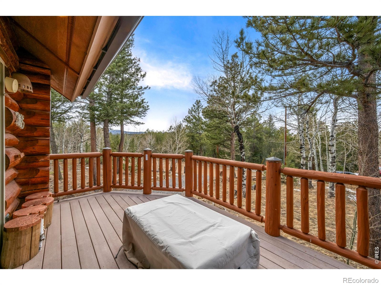 MLS Image #3 for 365  overland drive,ward, Colorado