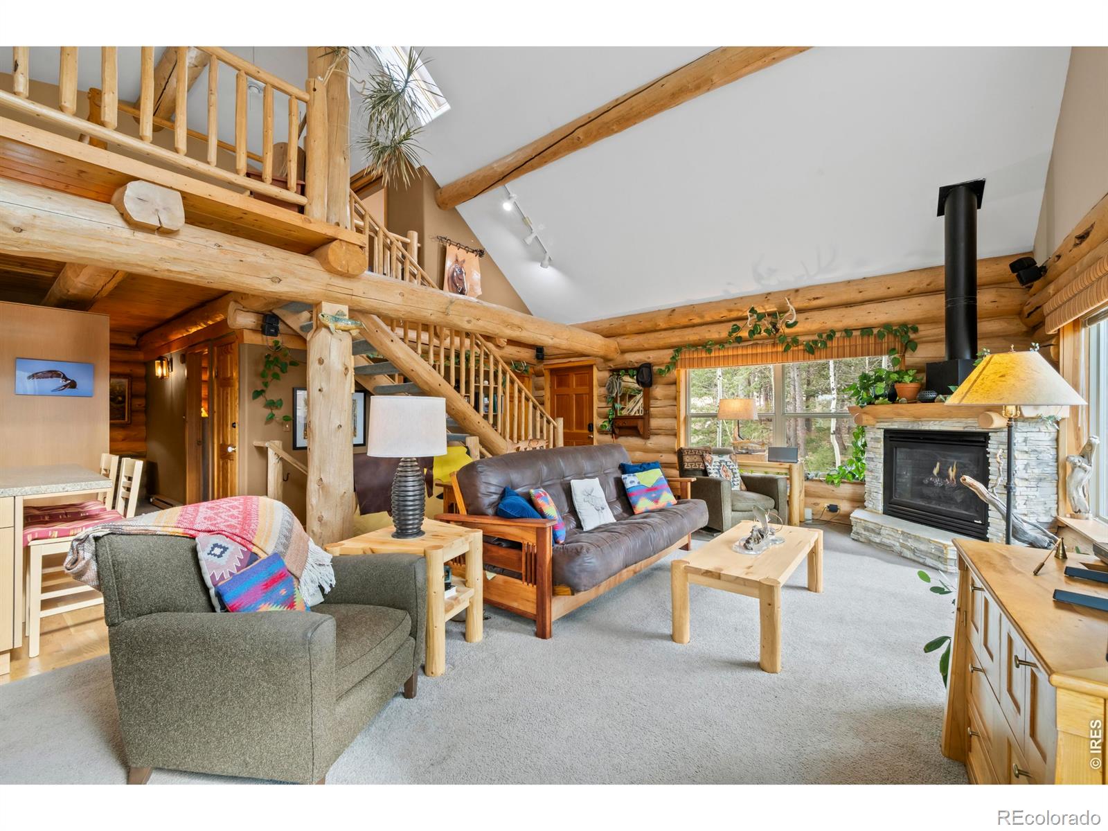 MLS Image #8 for 365  overland drive,ward, Colorado