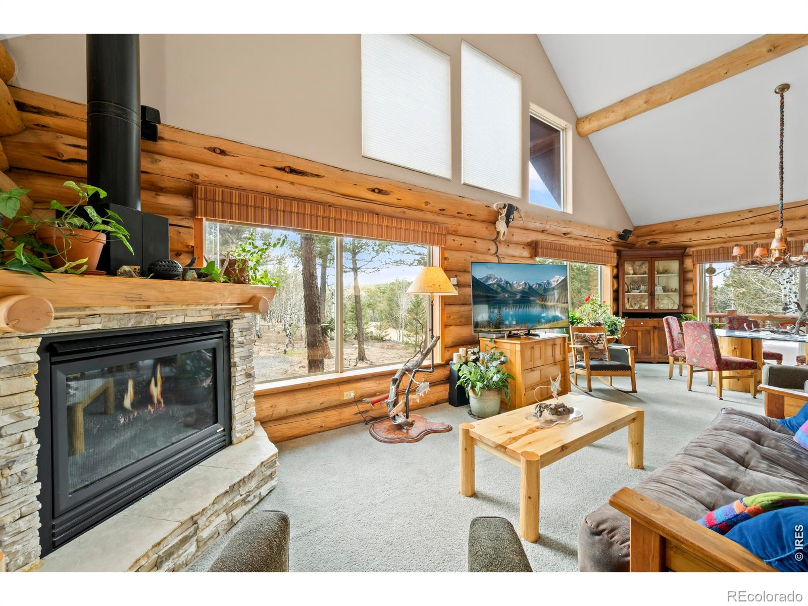MLS Image #9 for 365  overland drive,ward, Colorado