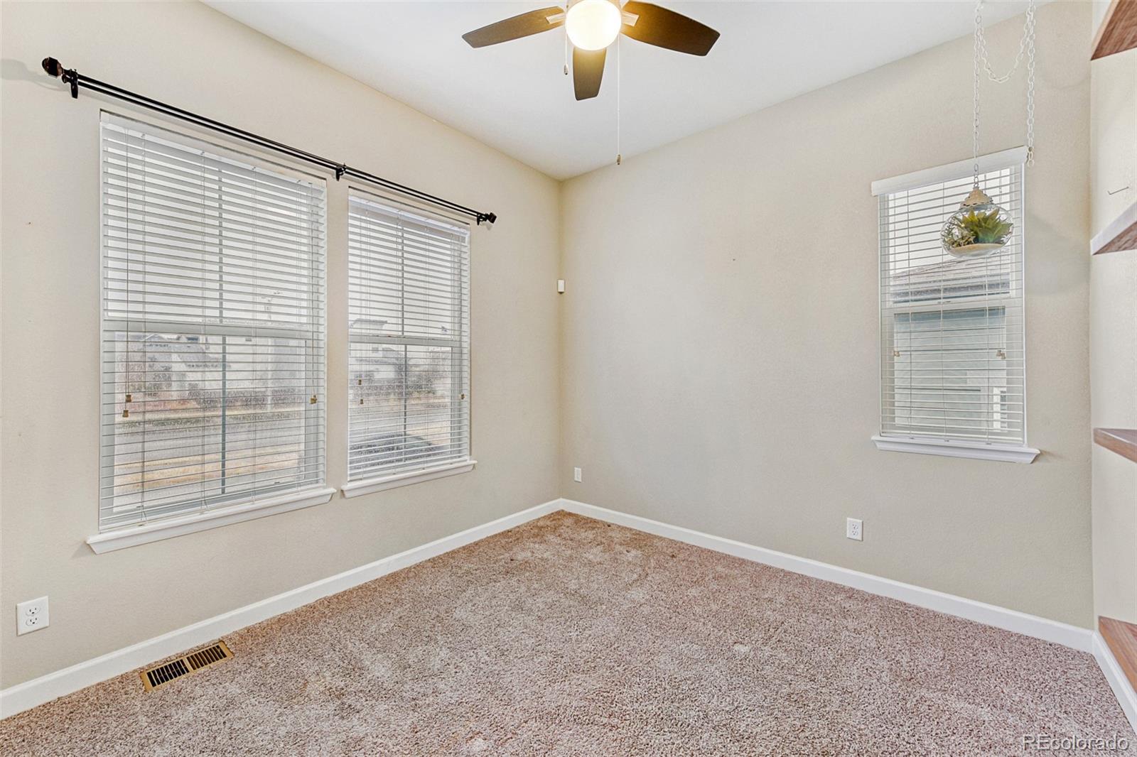 MLS Image #12 for 9894  eagle river street,littleton, Colorado