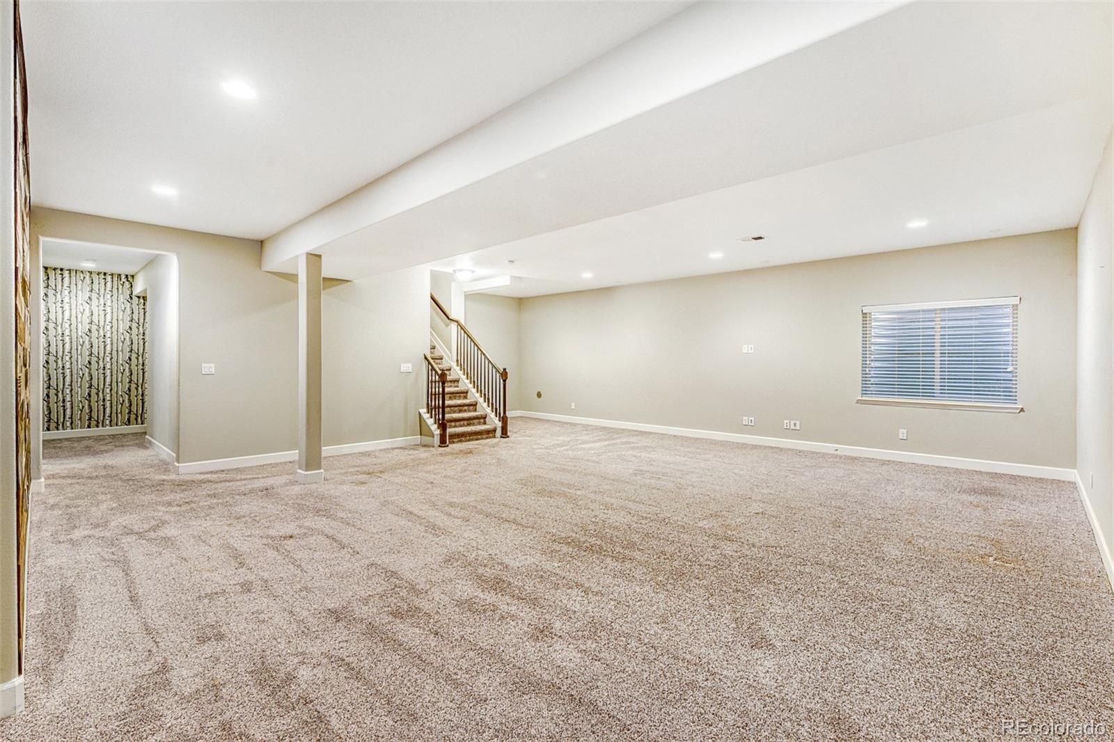 MLS Image #20 for 9894  eagle river street,littleton, Colorado