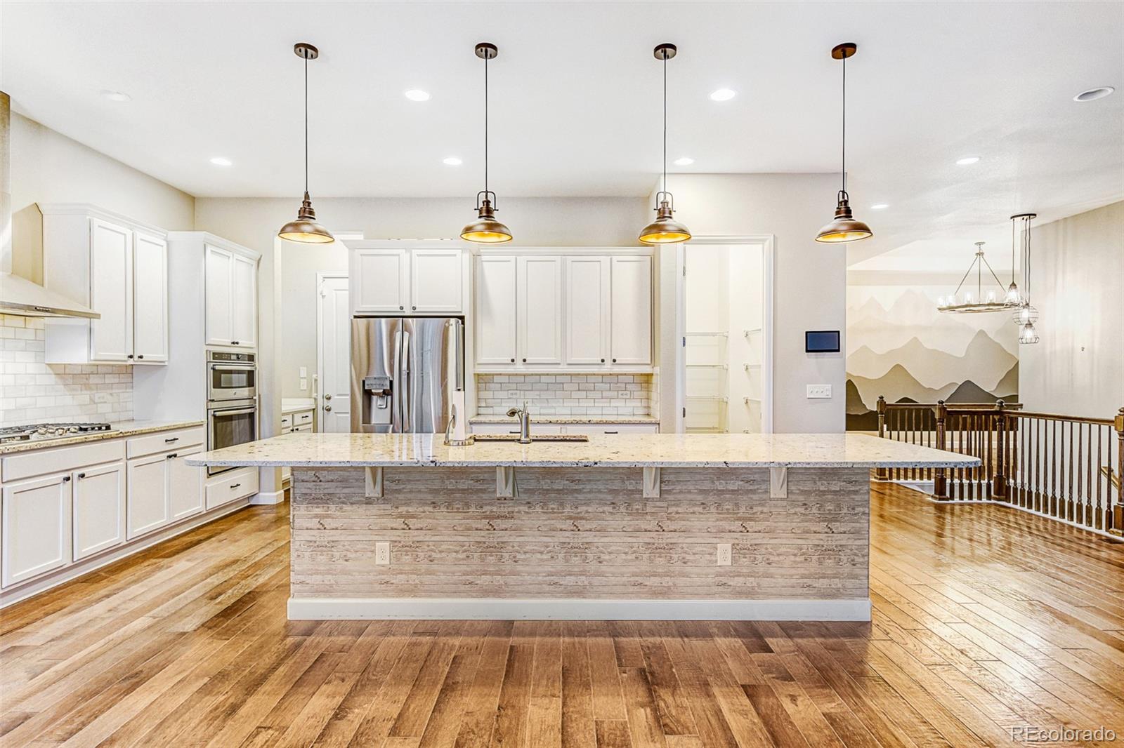 MLS Image #3 for 9894  eagle river street,littleton, Colorado