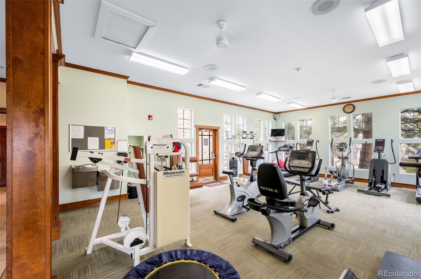 MLS Image #20 for 7423 s quail circle,littleton, Colorado