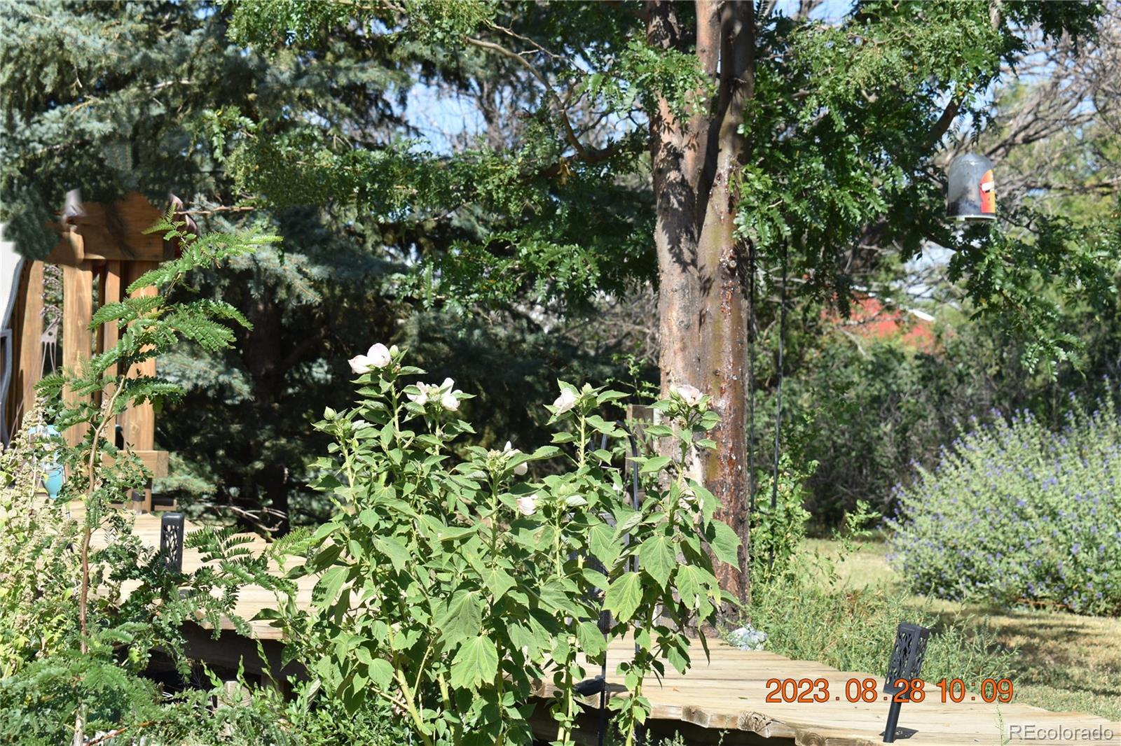 MLS Image #45 for 50416  county road 22 ,ramah, Colorado