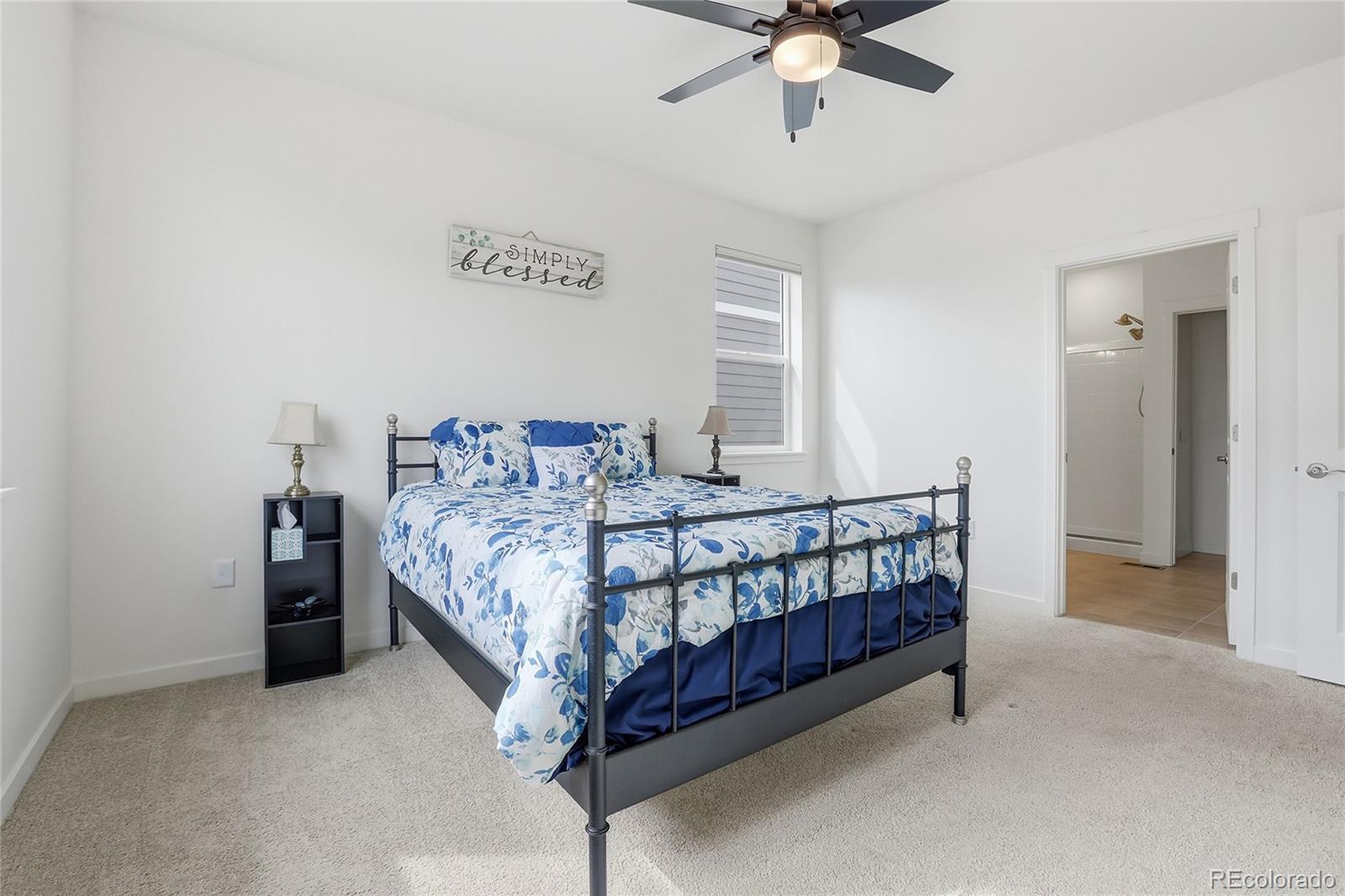 MLS Image #16 for 18206  prince hill circle,parker, Colorado