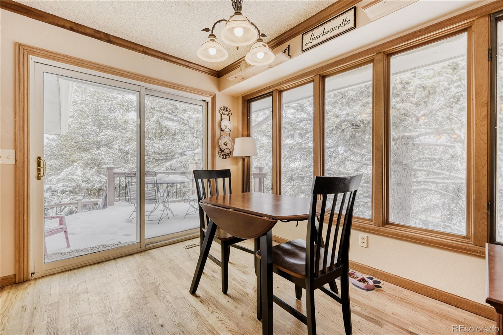 MLS Image #10 for 212  kelsey place,castle rock, Colorado