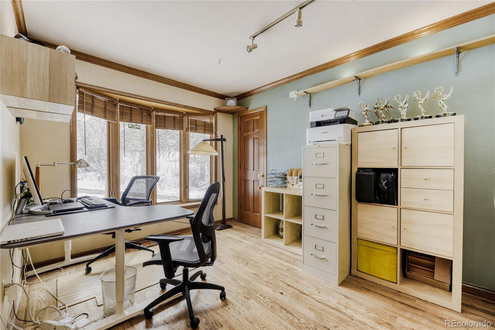 MLS Image #11 for 212  kelsey place,castle rock, Colorado
