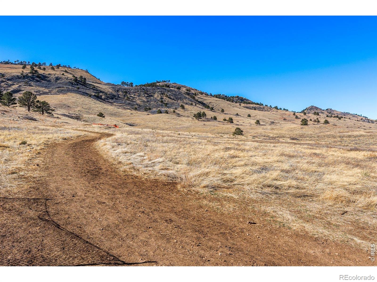 MLS Image #36 for 1310  rosewood avenue,boulder, Colorado