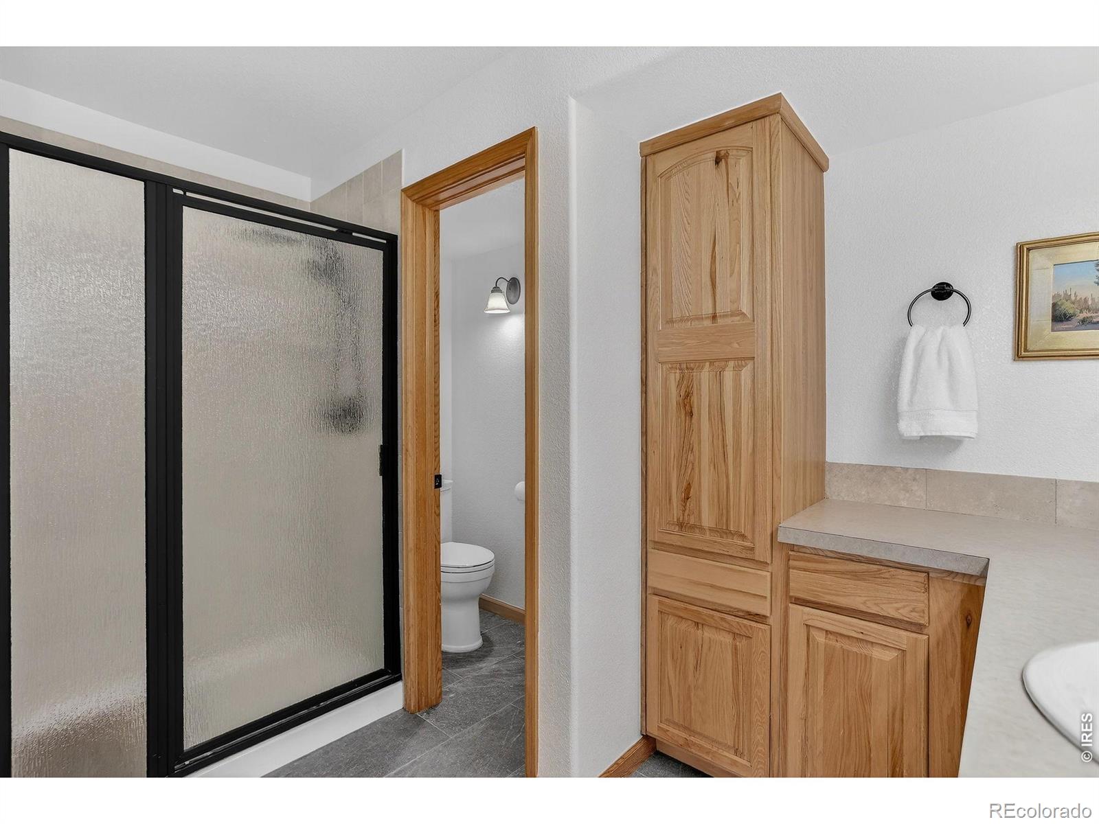MLS Image #27 for 14804  county road 7 ,mead, Colorado