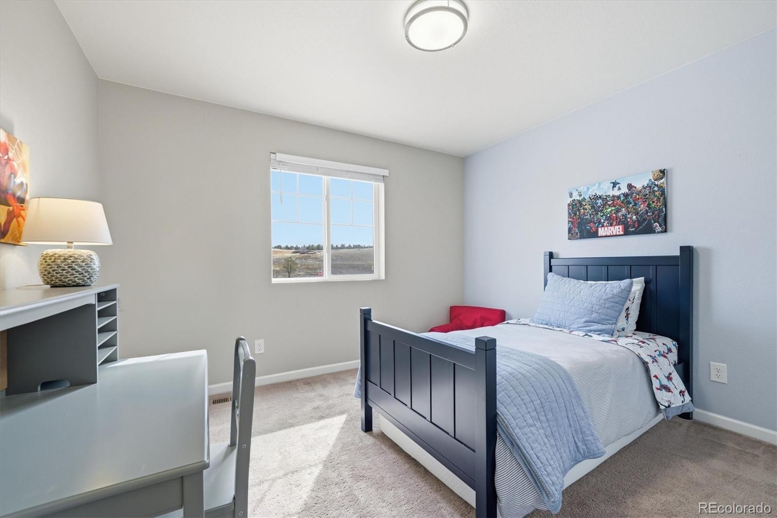 MLS Image #30 for 5667  saddle skirt street,parker, Colorado