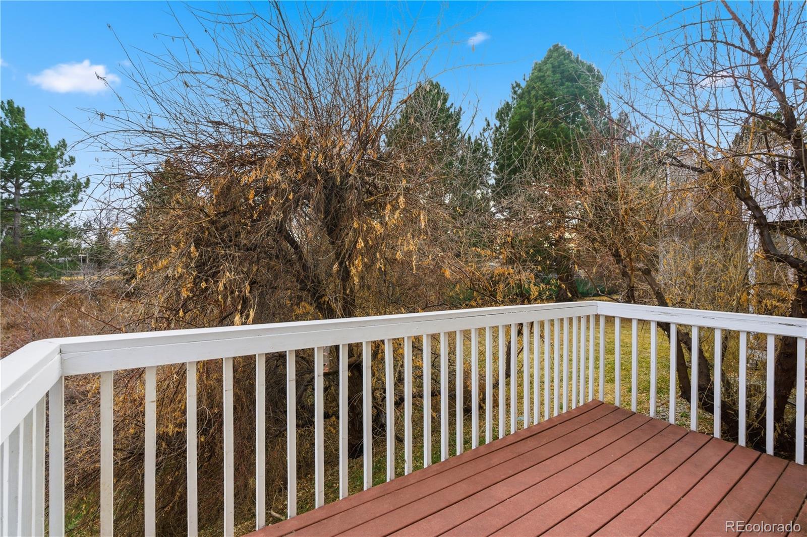 MLS Image #22 for 2054  sunridge circle,broomfield, Colorado