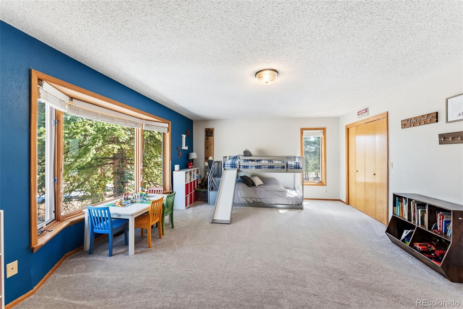 MLS Image #14 for 18360  trail west drive,buena vista, Colorado