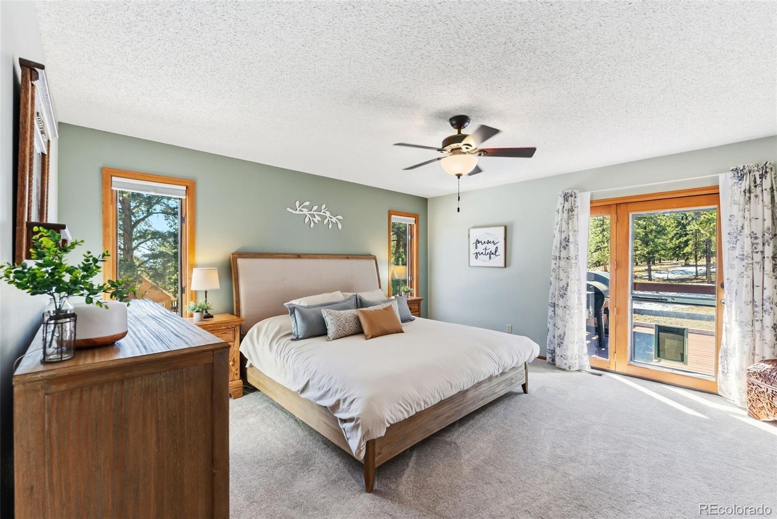 MLS Image #16 for 18360  trail west drive,buena vista, Colorado