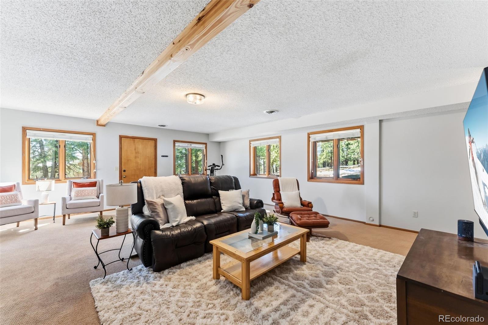 MLS Image #27 for 18360  trail west drive,buena vista, Colorado