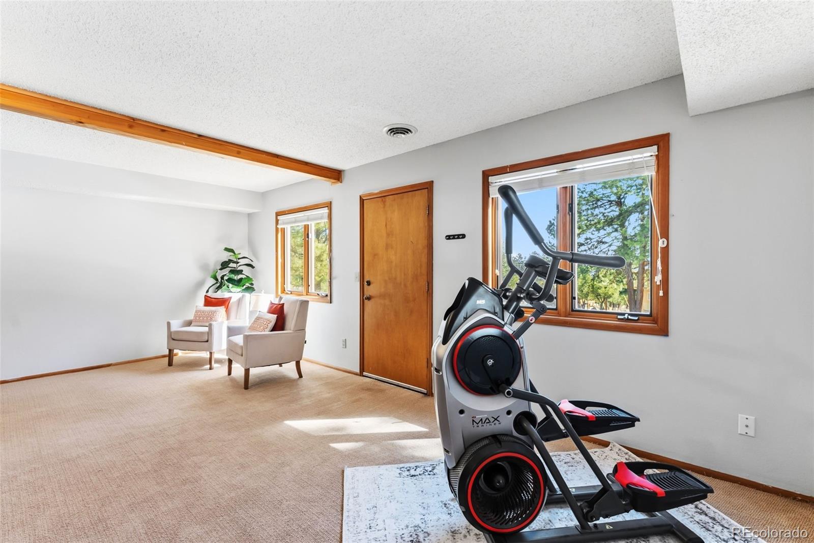 MLS Image #29 for 18360  trail west drive,buena vista, Colorado