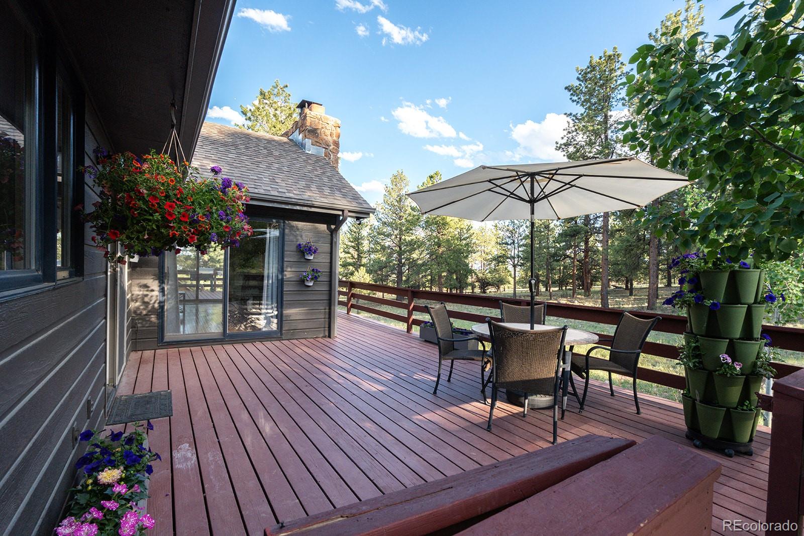 MLS Image #45 for 18360  trail west drive,buena vista, Colorado