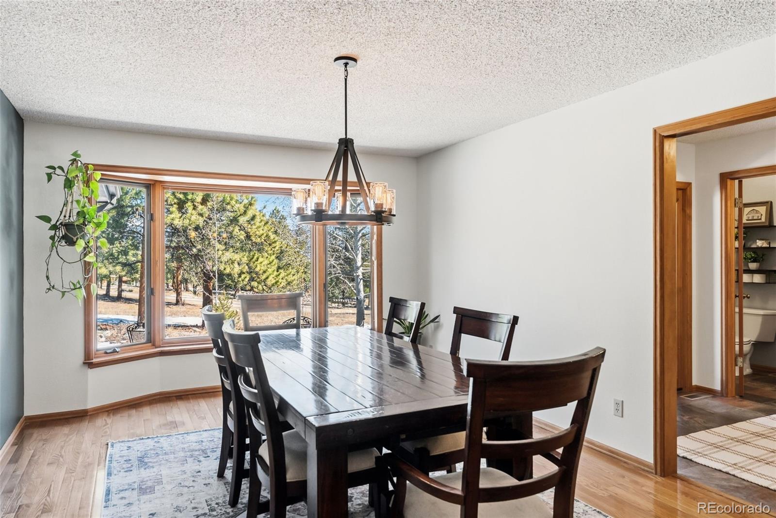 MLS Image #7 for 18360  trail west drive,buena vista, Colorado
