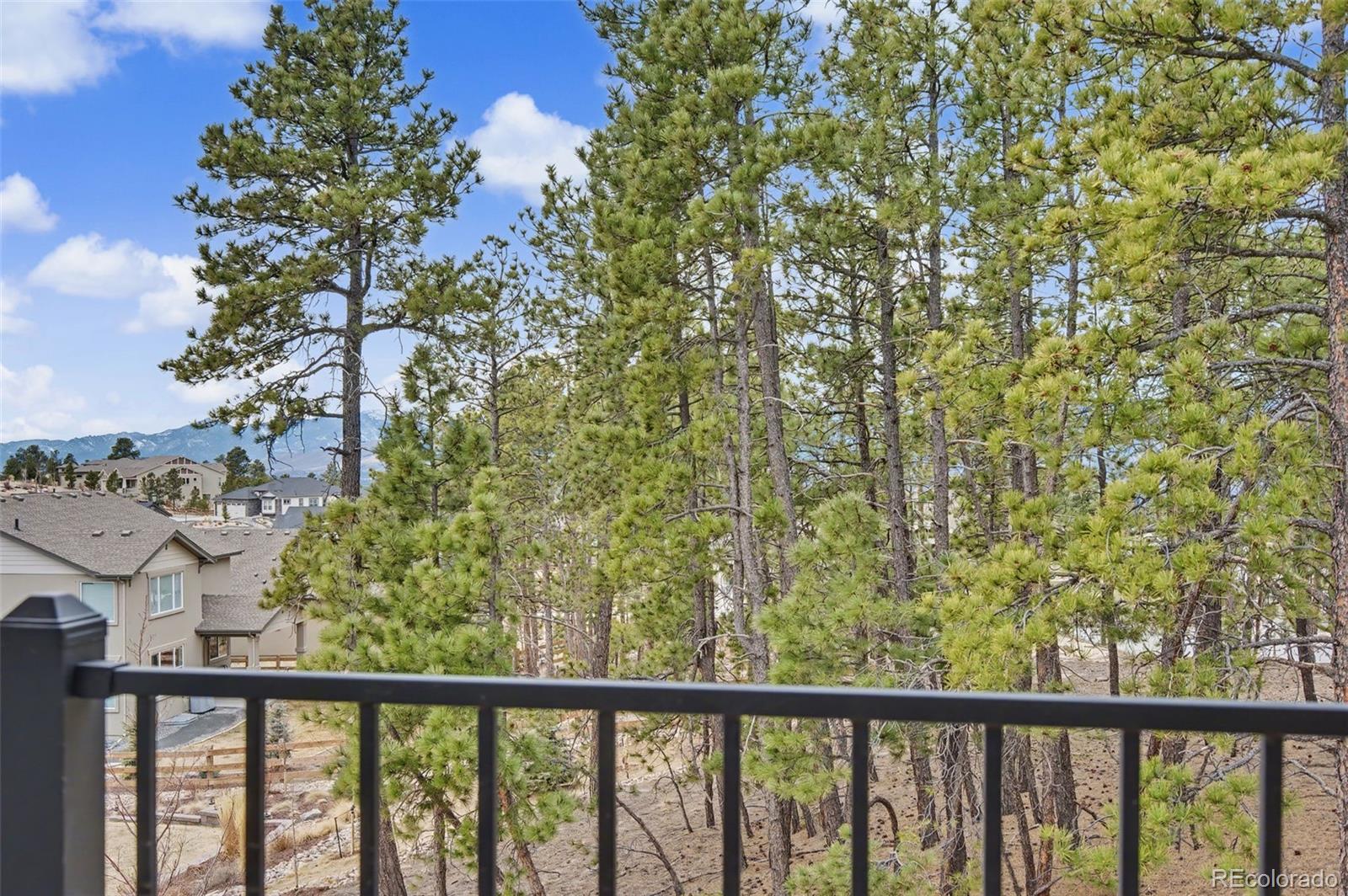 MLS Image #42 for 16474  morning rise lane,monument, Colorado