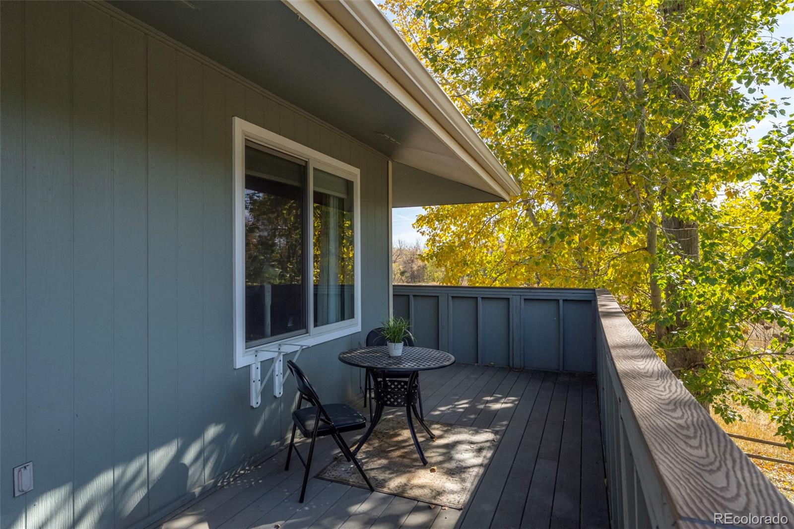 MLS Image #23 for 1111  elysian field drive,lafayette, Colorado