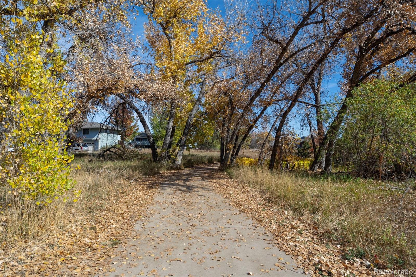 MLS Image #38 for 1111  elysian field drive,lafayette, Colorado