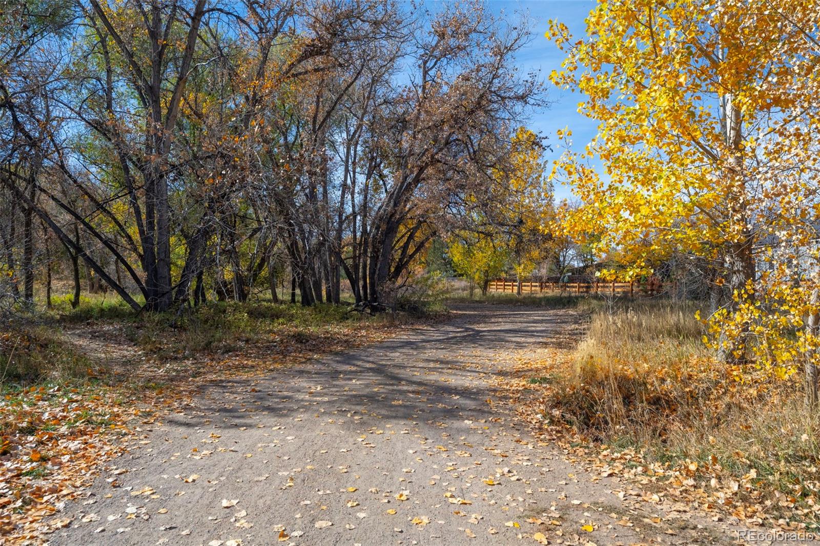 MLS Image #39 for 1111  elysian field drive,lafayette, Colorado