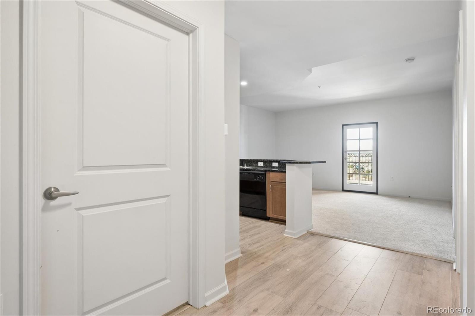 MLS Image #2 for 925 n lincoln street,denver, Colorado