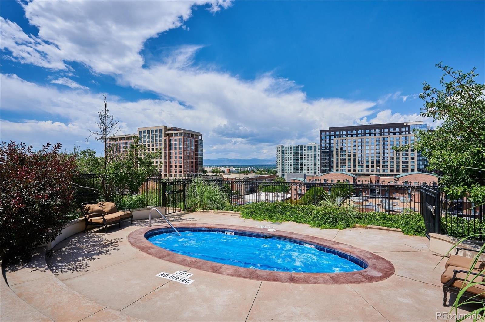 MLS Image #30 for 925 n lincoln street,denver, Colorado