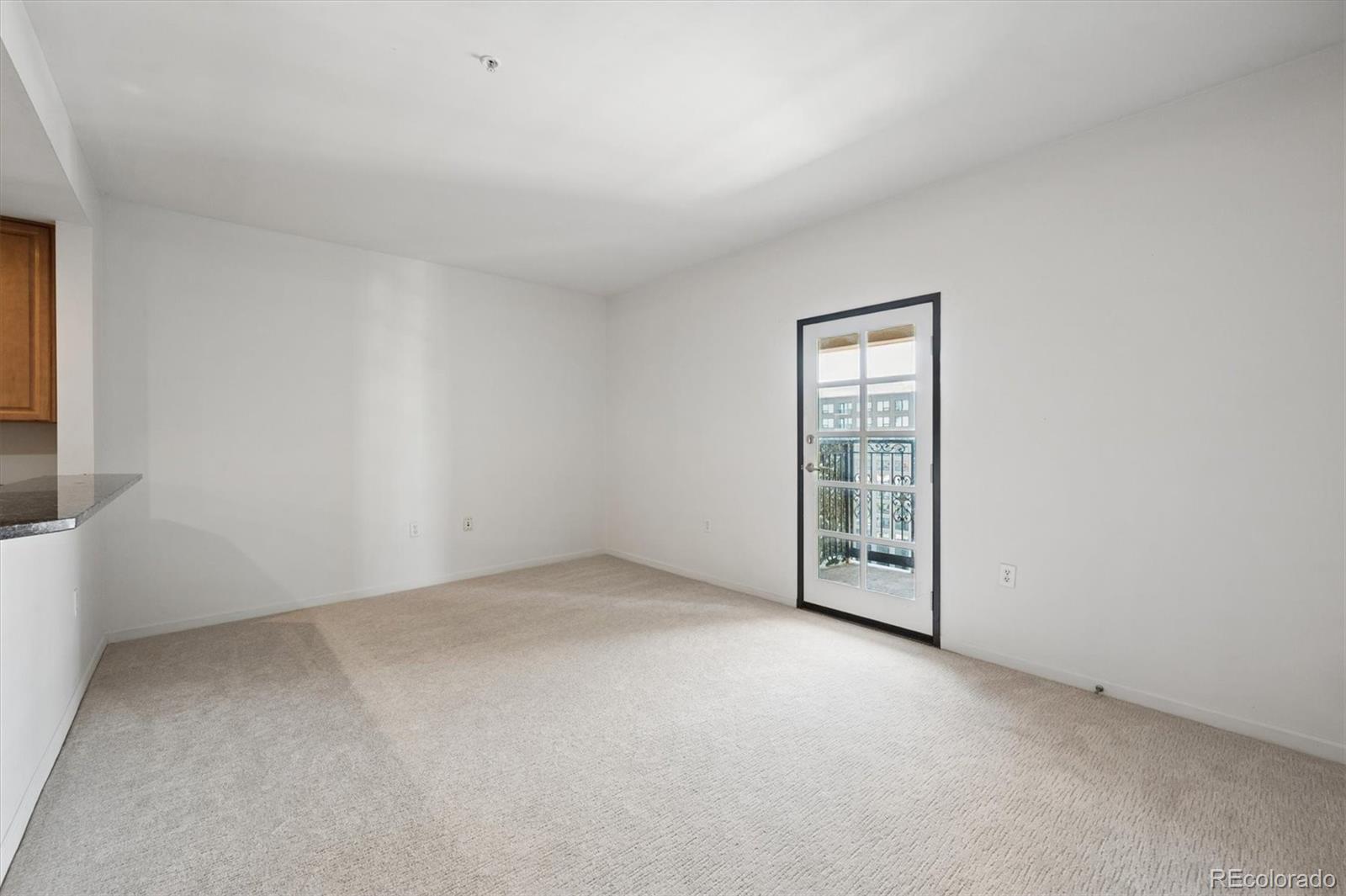 MLS Image #7 for 925 n lincoln street,denver, Colorado