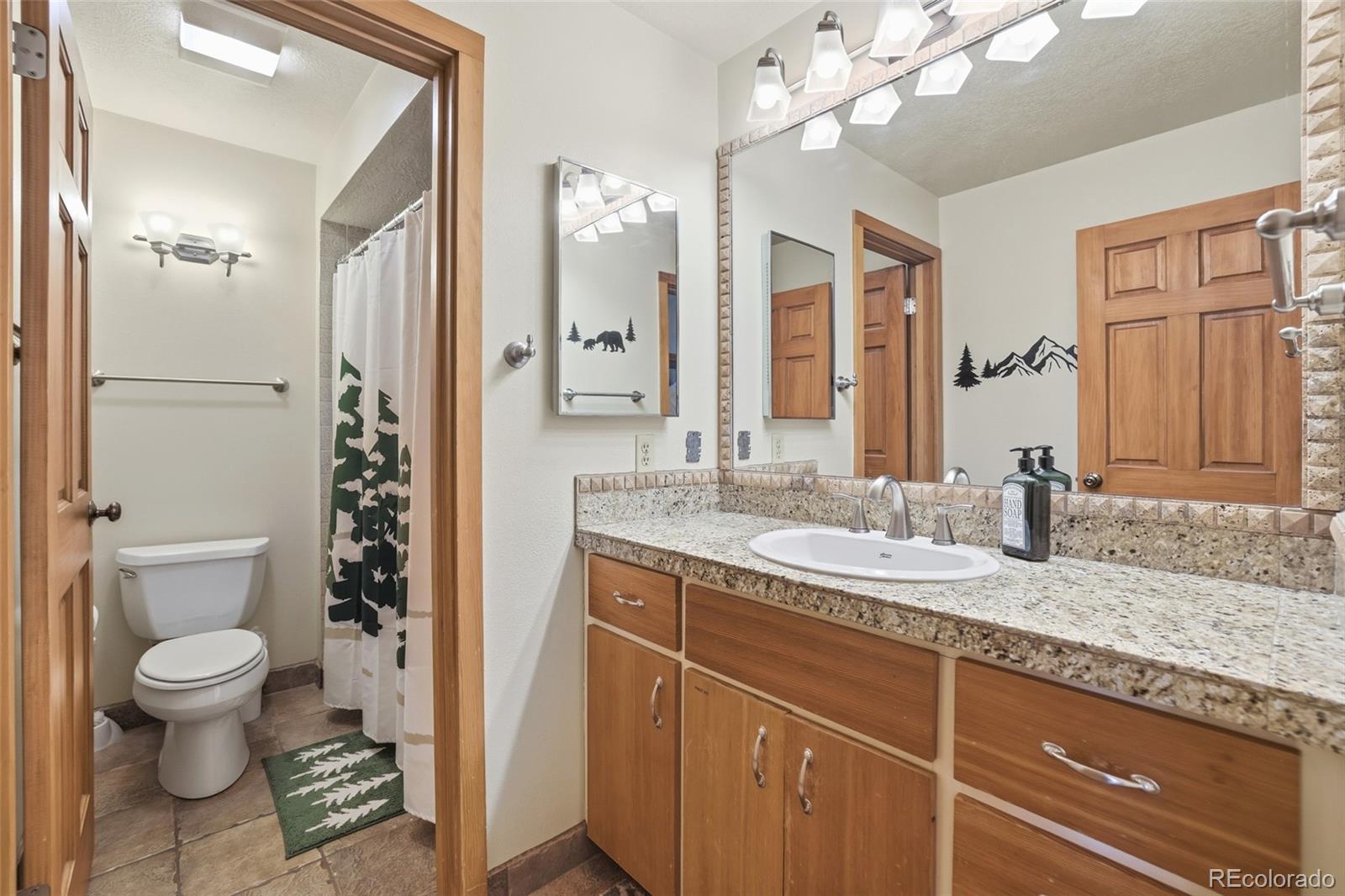 MLS Image #26 for 21700  us highway 6 ,keystone, Colorado