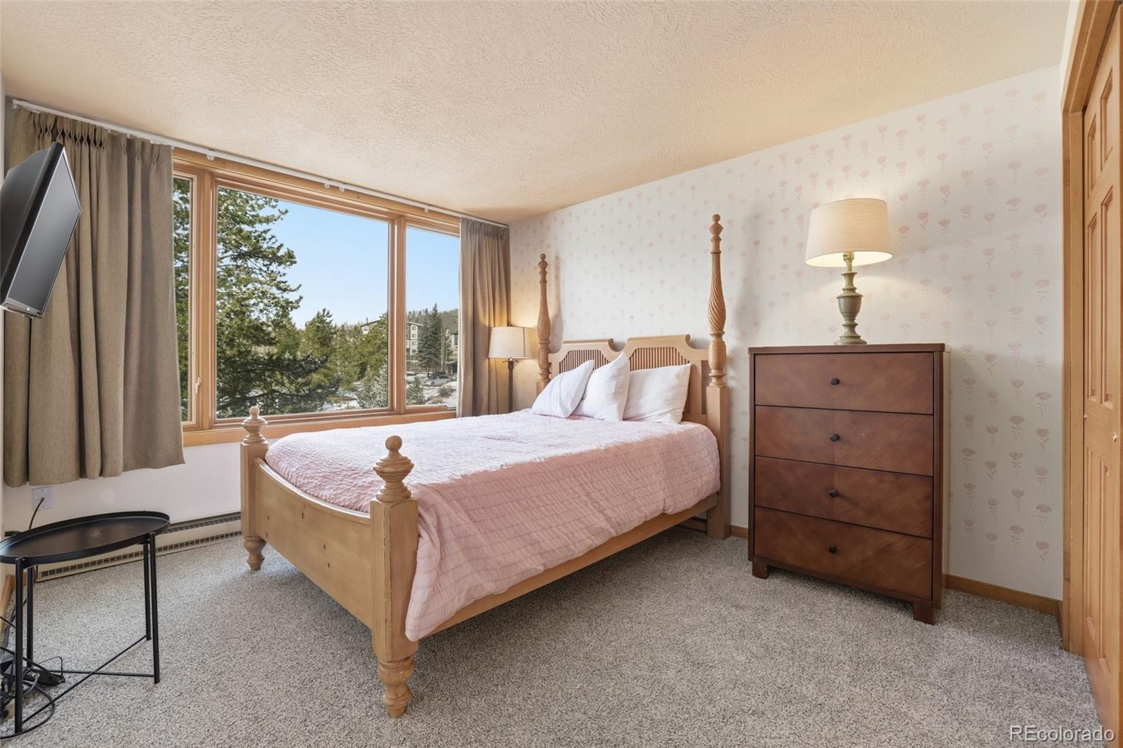 MLS Image #28 for 21700  us highway 6 ,keystone, Colorado