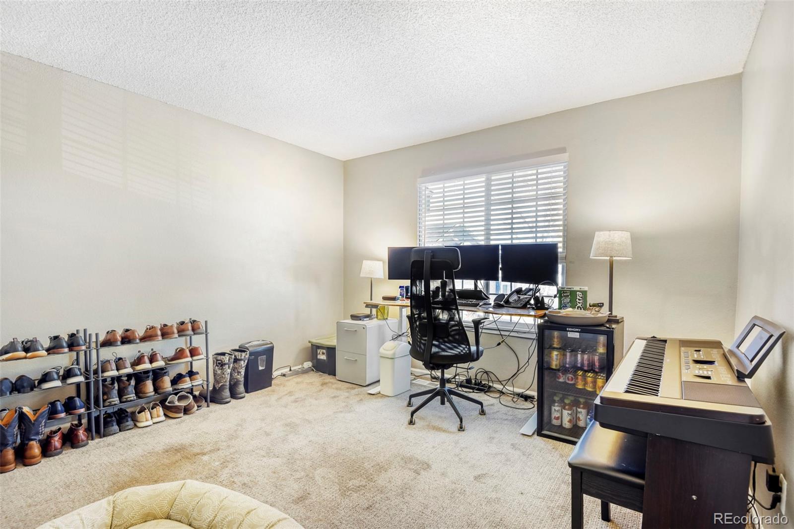 MLS Image #23 for 1626  adobe place,highlands ranch, Colorado