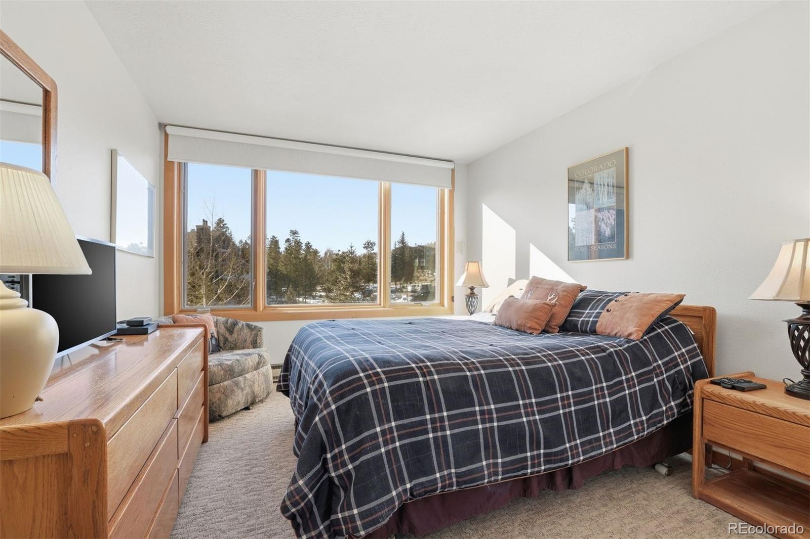 MLS Image #19 for 21700  us highway 6 ,keystone, Colorado
