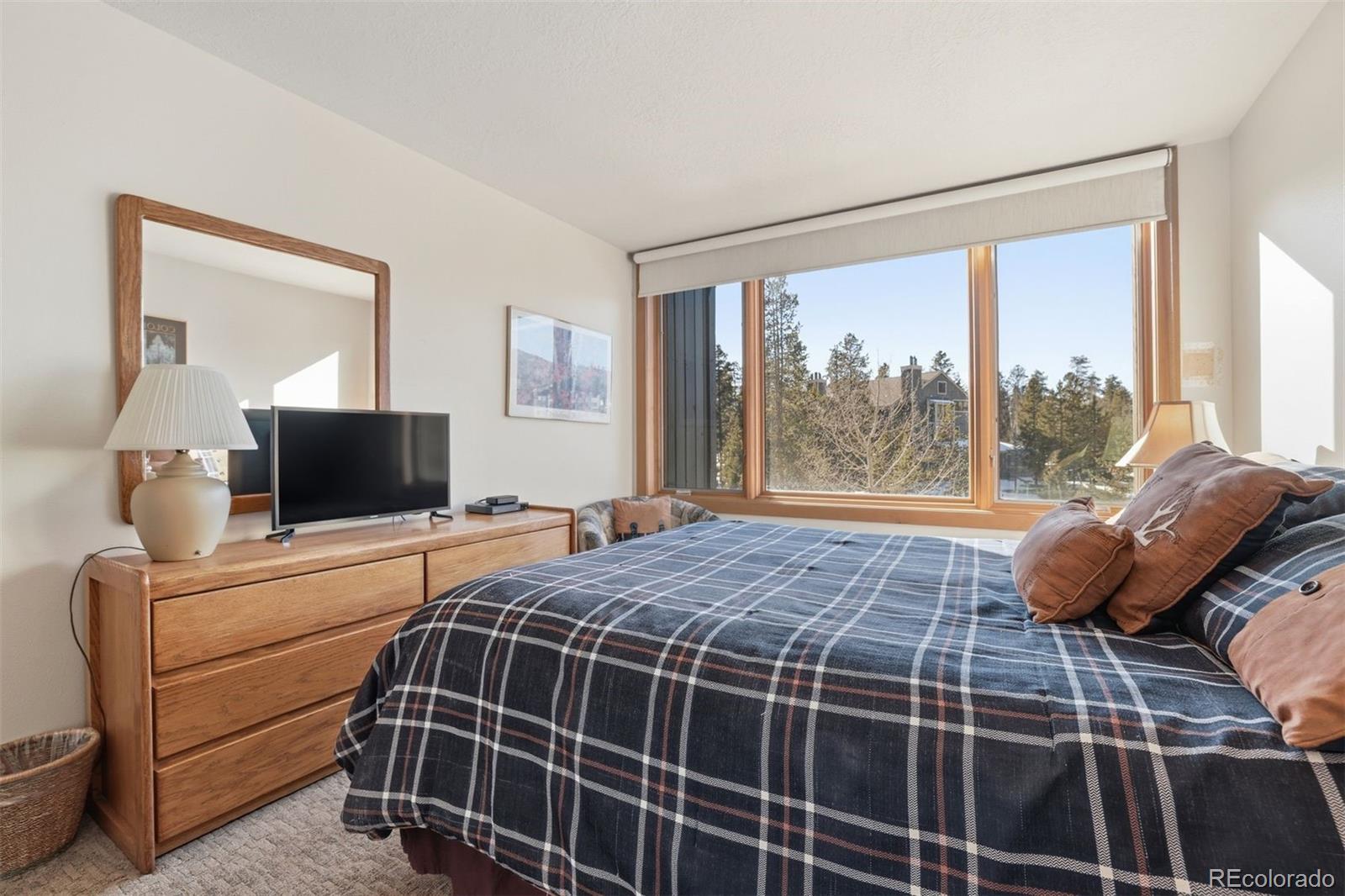 MLS Image #21 for 21700  us highway 6 ,keystone, Colorado