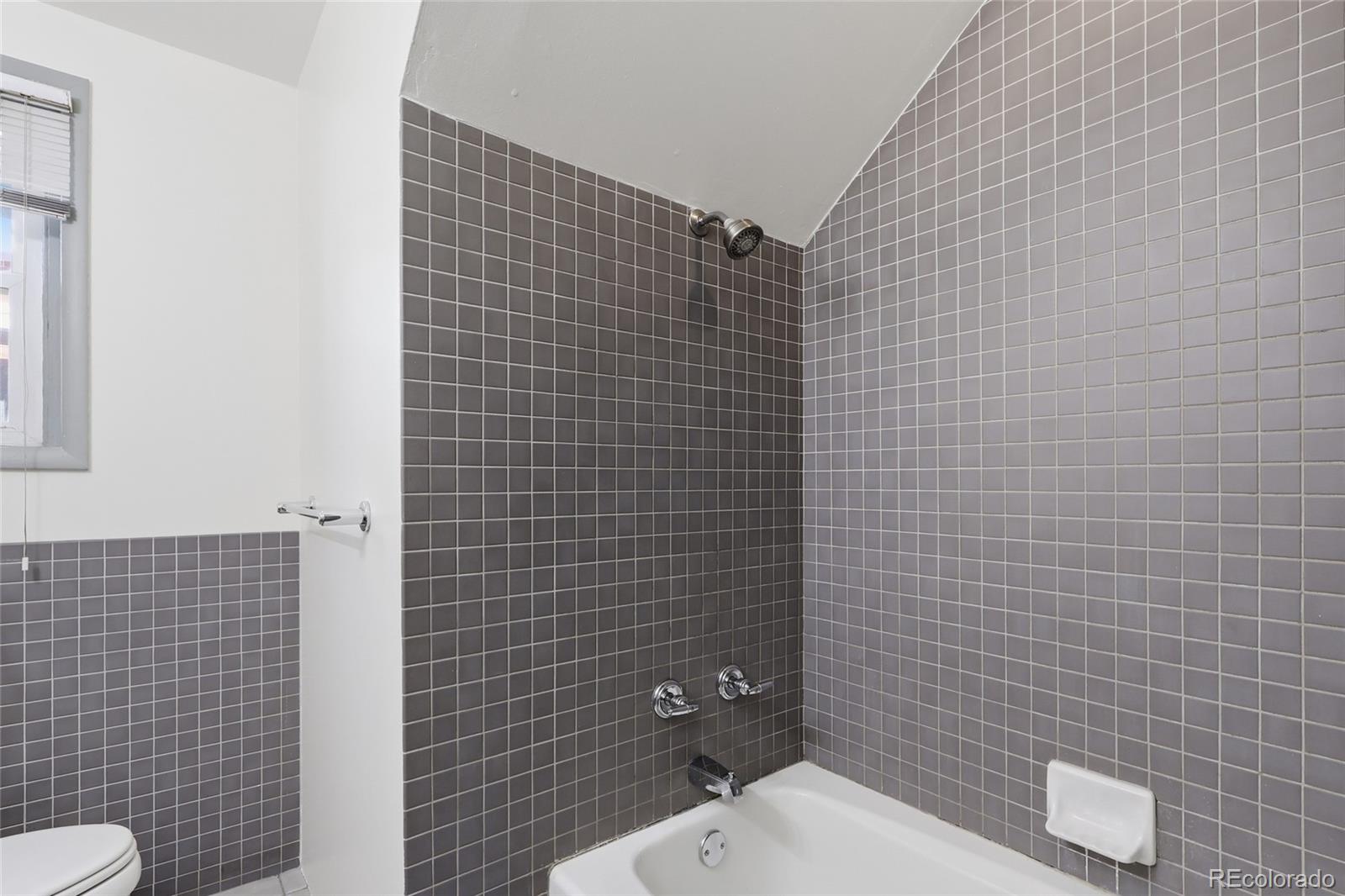 MLS Image #10 for 603 n washington street,denver, Colorado