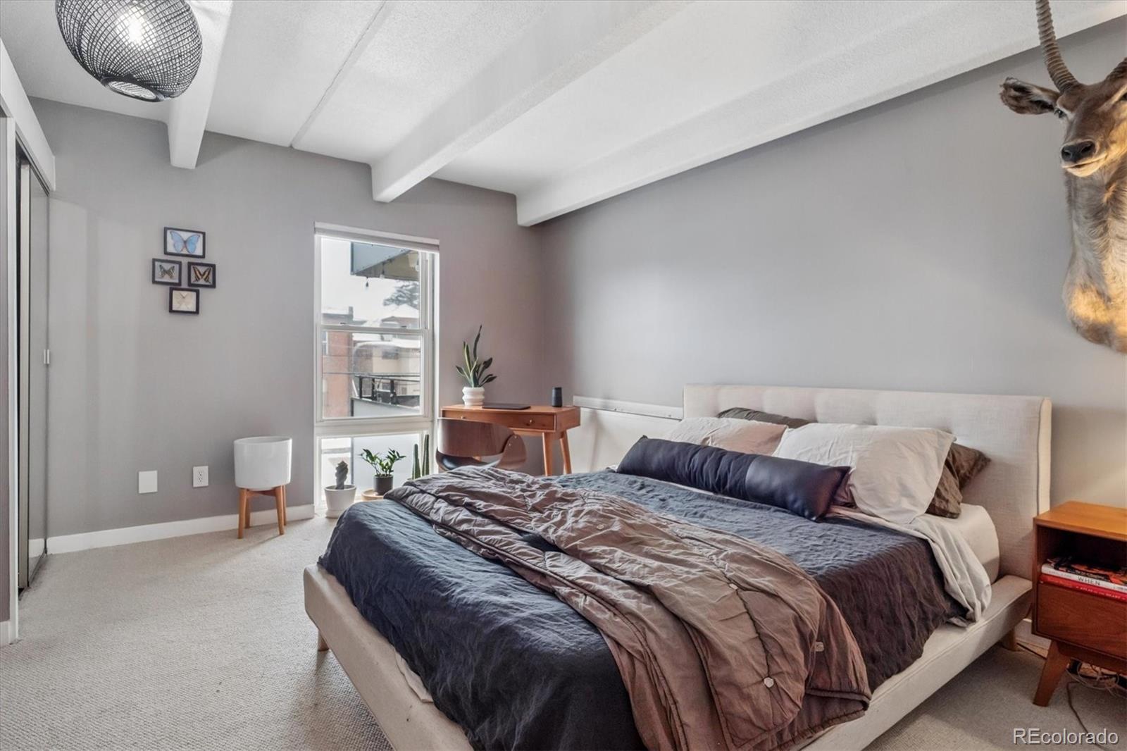 MLS Image #9 for 1255 n ogden street,denver, Colorado