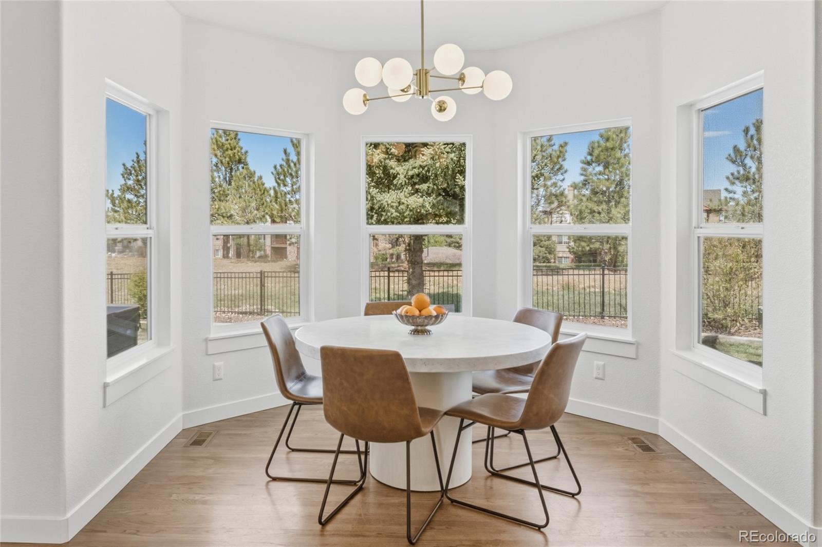 MLS Image #17 for 1081  foursome drive,castle rock, Colorado