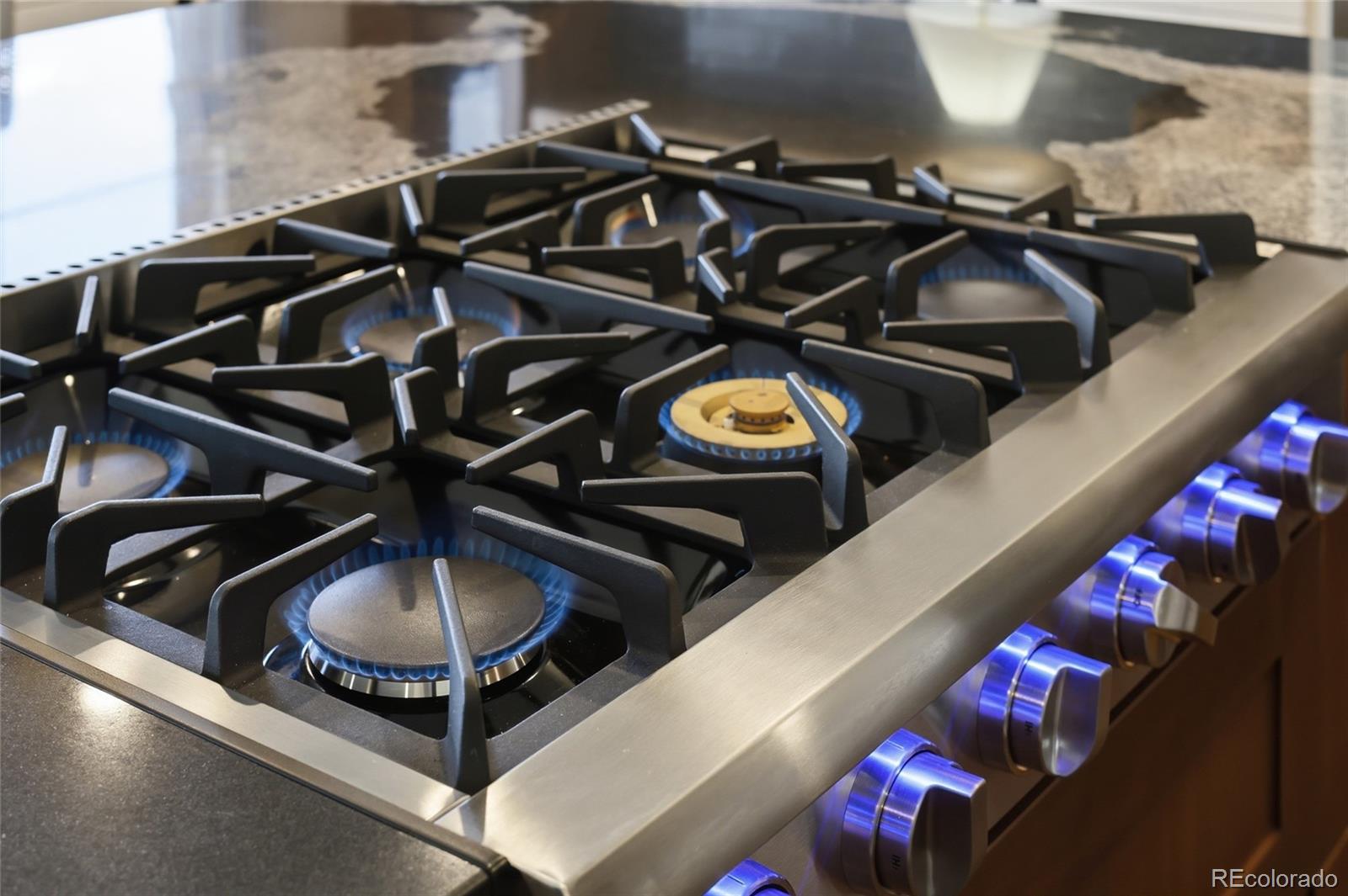 MLS Image #21 for 1081  foursome drive,castle rock, Colorado