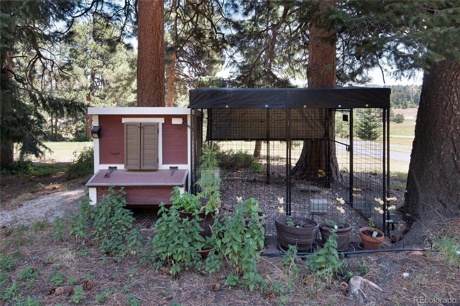 MLS Image #37 for 8171 s homesteader drive,morrison, Colorado